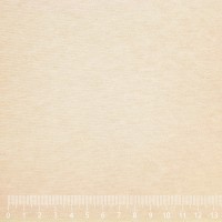 🔴 Потолочная ткань «Micro» на поролоне 3 мм с подложкой (бежевый светлый, велюр, ширина 1,7 м.) ОСТАТОК0,8м (#21486, -40%) #772