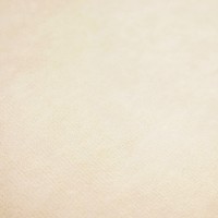 🔴 Потолочная ткань «Micro» на поролоне 3 мм с подложкой (бежевый светлый, велюр, ширина 1,7 м.) ОСТАТОК (#21486, -40%) #900
